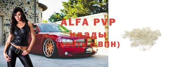 apvp Каменногорск