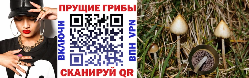 Псилоцибиновые грибы Magic Shrooms  Ростов 